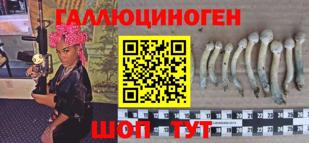 Курган  Галлюциногенные грибы мухоморы  Вход с VPN 